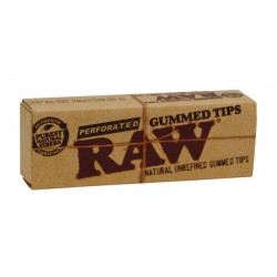 RAW® TIPS GUMMED & PERFORATED